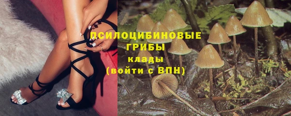 первитин Алексин