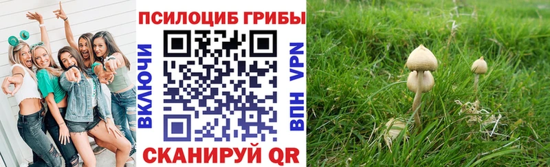 Галлюциногенные грибы мухоморы  цена   Котово 